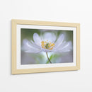 Nemorosa Nirvana - Mandy Disher | Cuadro decorativo de Canvas Lab
