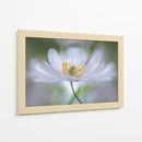 Nemorosa Nirvana - Mandy Disher | Cuadro decorativo de Canvas Lab