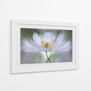 Nemorosa Nirvana - Mandy Disher | Cuadro decorativo de Canvas Lab