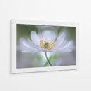 Nemorosa Nirvana - Mandy Disher | Cuadro decorativo de Canvas Lab