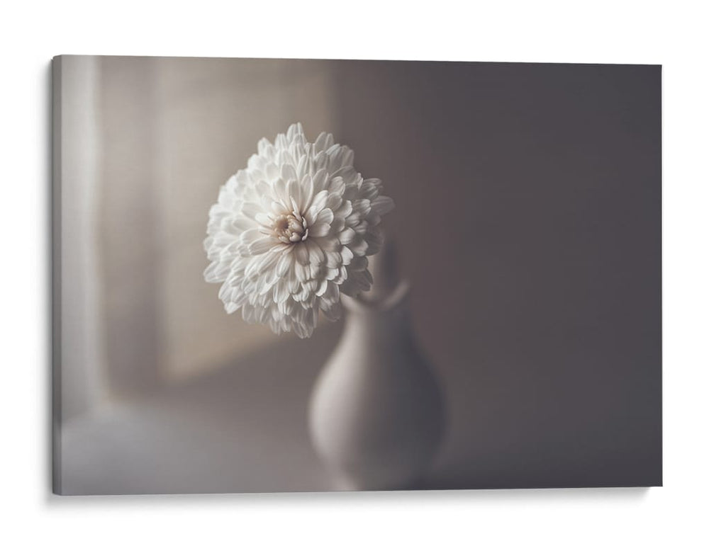 Naturaleza muerta con flores blancas - Jose Antonio Sanchez | Cuadro decorativo de Canvas Lab