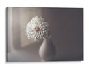 Naturaleza muerta con flores blancas - Jose Antonio Sanchez | Cuadro decorativo de Canvas Lab