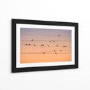 Palomas pacíficas durante la hora dorada - John Fan | Cuadro decorativo de Canvas Lab