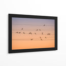 Palomas pacíficas durante la hora dorada - John Fan | Cuadro decorativo de Canvas Lab