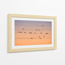 Palomas pacíficas durante la hora dorada - John Fan | Cuadro decorativo de Canvas Lab