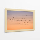 Palomas pacíficas durante la hora dorada - John Fan | Cuadro decorativo de Canvas Lab