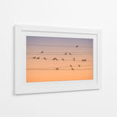 Palomas pacíficas durante la hora dorada - John Fan | Cuadro decorativo de Canvas Lab
