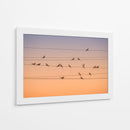 Palomas pacíficas durante la hora dorada - John Fan | Cuadro decorativo de Canvas Lab