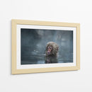 Mono de nieve bajo la lluvia - Takeshi Marumoto | Cuadro decorativo de Canvas Lab
