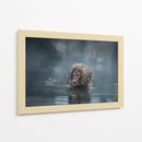 Mono de nieve bajo la lluvia - Takeshi Marumoto | Cuadro decorativo de Canvas Lab