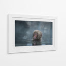 Mono de nieve bajo la lluvia - Takeshi Marumoto | Cuadro decorativo de Canvas Lab