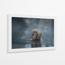 Mono de nieve bajo la lluvia - Takeshi Marumoto | Cuadro decorativo de Canvas Lab