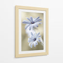 Lunas de escarcha - Mandy Disher | Cuadro decorativo de Canvas Lab