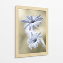 Lunas de escarcha - Mandy Disher | Cuadro decorativo de Canvas Lab