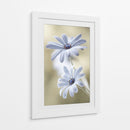 Lunas de escarcha - Mandy Disher | Cuadro decorativo de Canvas Lab