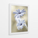 Lunas de escarcha - Mandy Disher | Cuadro decorativo de Canvas Lab