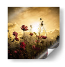 Observando el sol - Christian MARCEL | Cuadro decorativo de Canvas Lab
