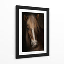 Retrato de un majestuoso caballo - Martine Benezech | Cuadro decorativo de Canvas Lab