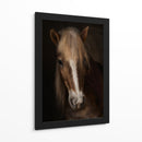 Retrato de un majestuoso caballo - Martine Benezech | Cuadro decorativo de Canvas Lab