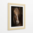 Retrato de un majestuoso caballo - Martine Benezech | Cuadro decorativo de Canvas Lab