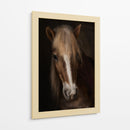 Retrato de un majestuoso caballo - Martine Benezech | Cuadro decorativo de Canvas Lab