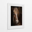 Retrato de un majestuoso caballo - Martine Benezech | Cuadro decorativo de Canvas Lab