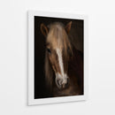 Retrato de un majestuoso caballo - Martine Benezech | Cuadro decorativo de Canvas Lab