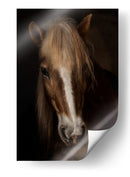 Retrato de un majestuoso caballo - Martine Benezech | Cuadro decorativo de Canvas Lab