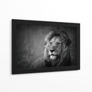 Retrato de un majestuoso león - Mohammed Alnaser | Cuadro decorativo de Canvas Lab