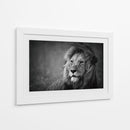 Retrato de un majestuoso león - Mohammed Alnaser | Cuadro decorativo de Canvas Lab