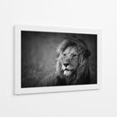 Retrato de un majestuoso león - Mohammed Alnaser | Cuadro decorativo de Canvas Lab