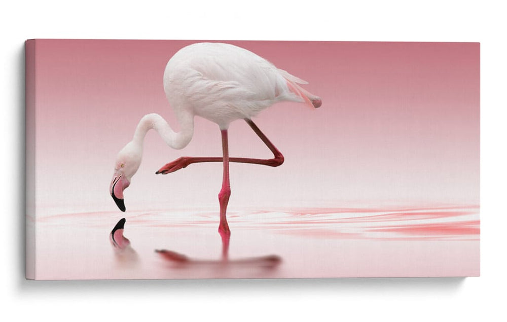 Reflejo de flamenco rosa - Doris Reindl | Cuadro decorativo de Canvas Lab
