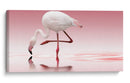 Reflejo de flamenco rosa - Doris Reindl | Cuadro decorativo de Canvas Lab