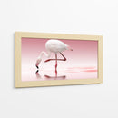 Reflejo de flamenco rosa - Doris Reindl | Cuadro decorativo de Canvas Lab
