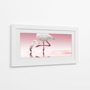 Reflejo de flamenco rosa - Doris Reindl | Cuadro decorativo de Canvas Lab