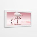 Reflejo de flamenco rosa - Doris Reindl | Cuadro decorativo de Canvas Lab