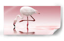 Reflejo de flamenco rosa - Doris Reindl | Cuadro decorativo de Canvas Lab