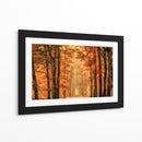 Sendero del bosque dorado de otoño - Lars van de | Cuadro decorativo de Canvas Lab
