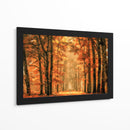 Sendero del bosque dorado de otoño - Lars van de | Cuadro decorativo de Canvas Lab