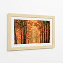 Sendero del bosque dorado de otoño - Lars van de | Cuadro decorativo de Canvas Lab