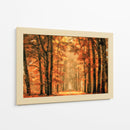 Sendero del bosque dorado de otoño - Lars van de | Cuadro decorativo de Canvas Lab