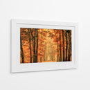 Sendero del bosque dorado de otoño - Lars van de | Cuadro decorativo de Canvas Lab