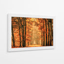 Sendero del bosque dorado de otoño - Lars van de | Cuadro decorativo de Canvas Lab