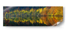 Reflejos otoñales vibrantes II - Burger Jochen | Cuadro decorativo de Canvas Lab