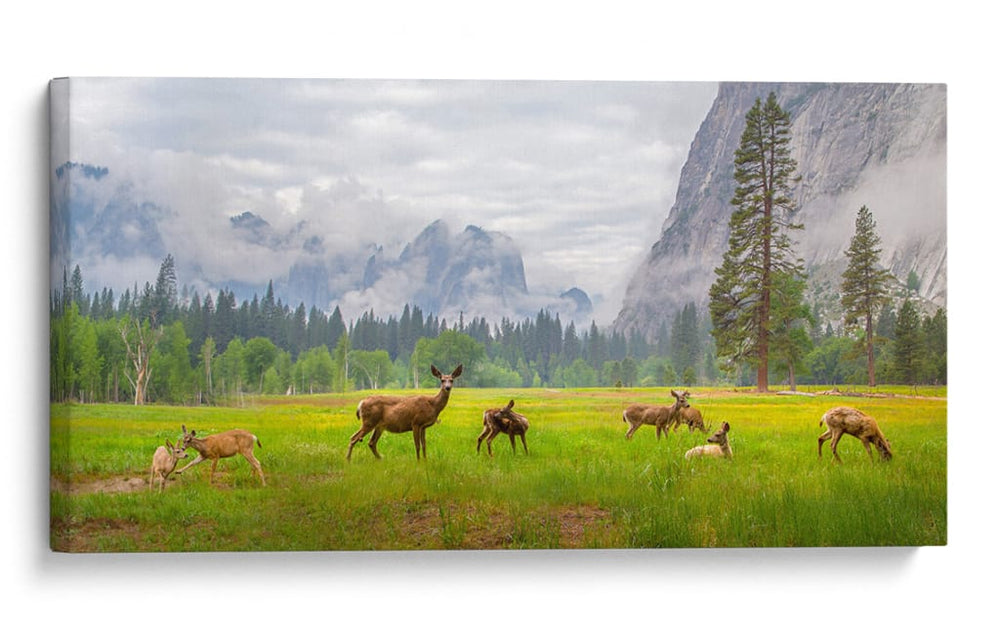 Pradera de la familia de los ciervos - Dianne Mao | Cuadro decorativo de Canvas Lab