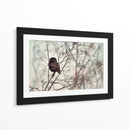 Pequeño búho vigilante - Emilian Avramescu | Cuadro decorativo de Canvas Lab