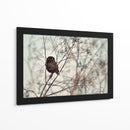Pequeño búho vigilante - Emilian Avramescu | Cuadro decorativo de Canvas Lab