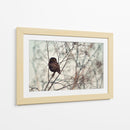 Pequeño búho vigilante - Emilian Avramescu | Cuadro decorativo de Canvas Lab