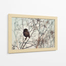 Pequeño búho vigilante - Emilian Avramescu | Cuadro decorativo de Canvas Lab