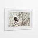 Pequeño búho vigilante - Emilian Avramescu | Cuadro decorativo de Canvas Lab